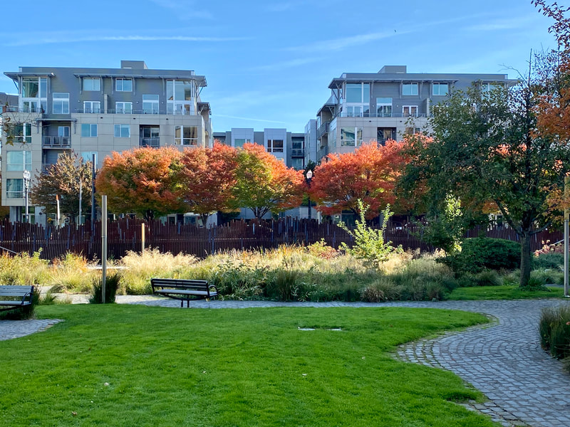 Lexis on the Park condos of Portland